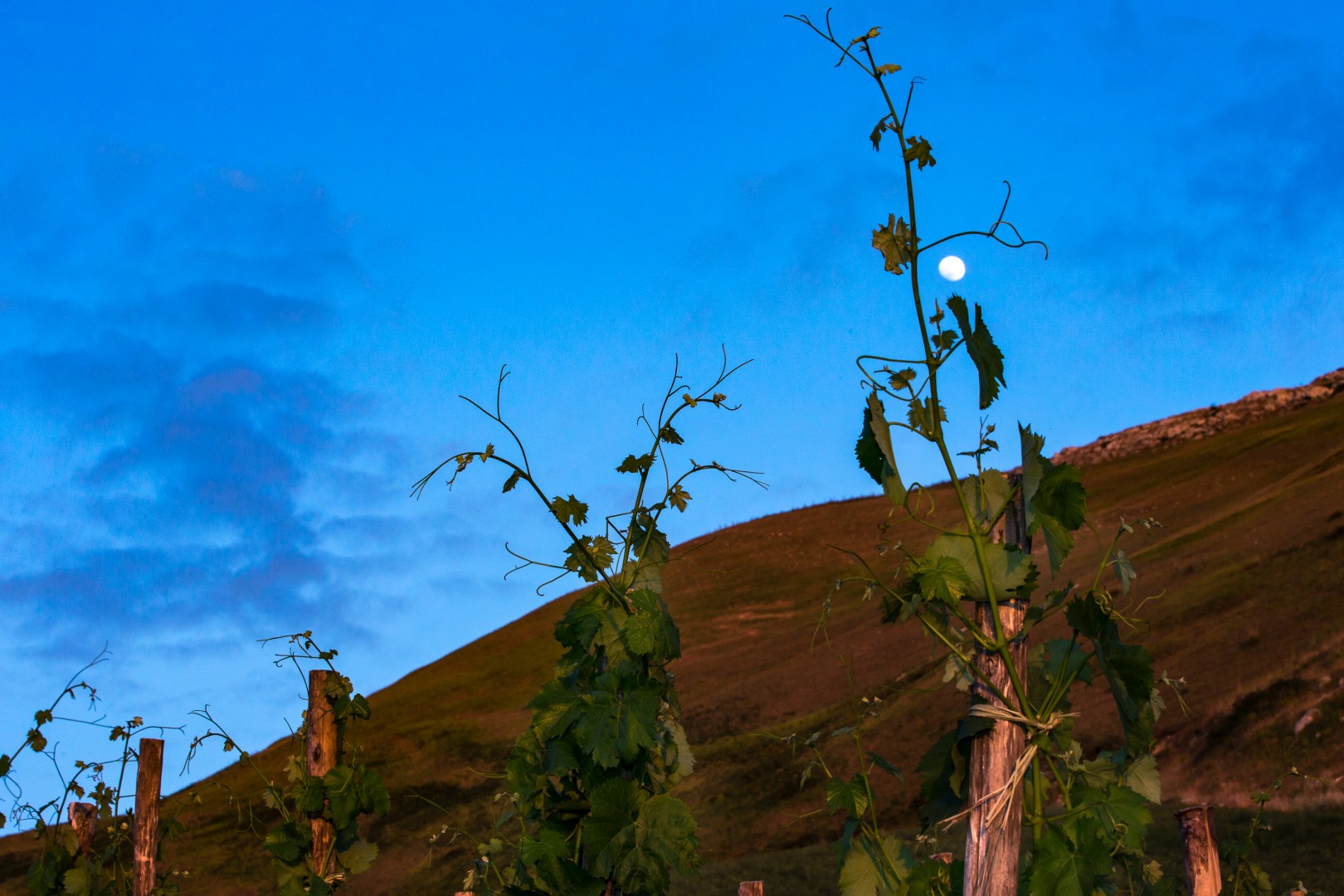 Reportage e Landscape fotografico Libera Terra - Sicilia Giugno 2017 - Ph © GIORGIO SALVATORI - nella foto Portella della Ginestra