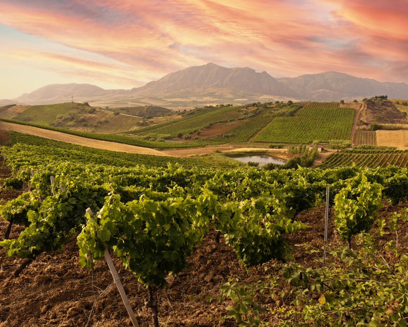 Terre rosse di Giabbascio_17